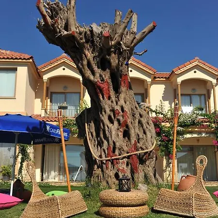 博马林俱乐部酒店 酒店 *